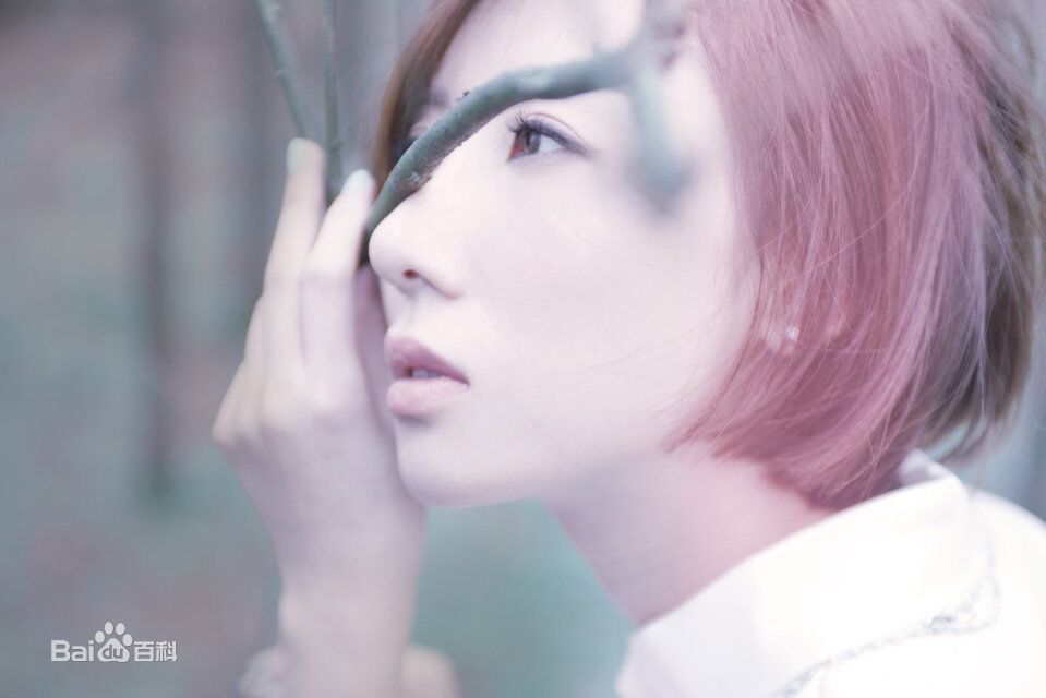 泳儿(Vincy Chan)壁纸前后照片