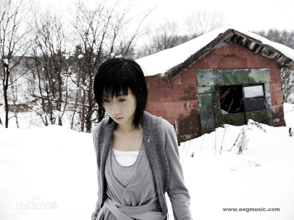 泳儿(Vincy Chan)壁纸前后照片