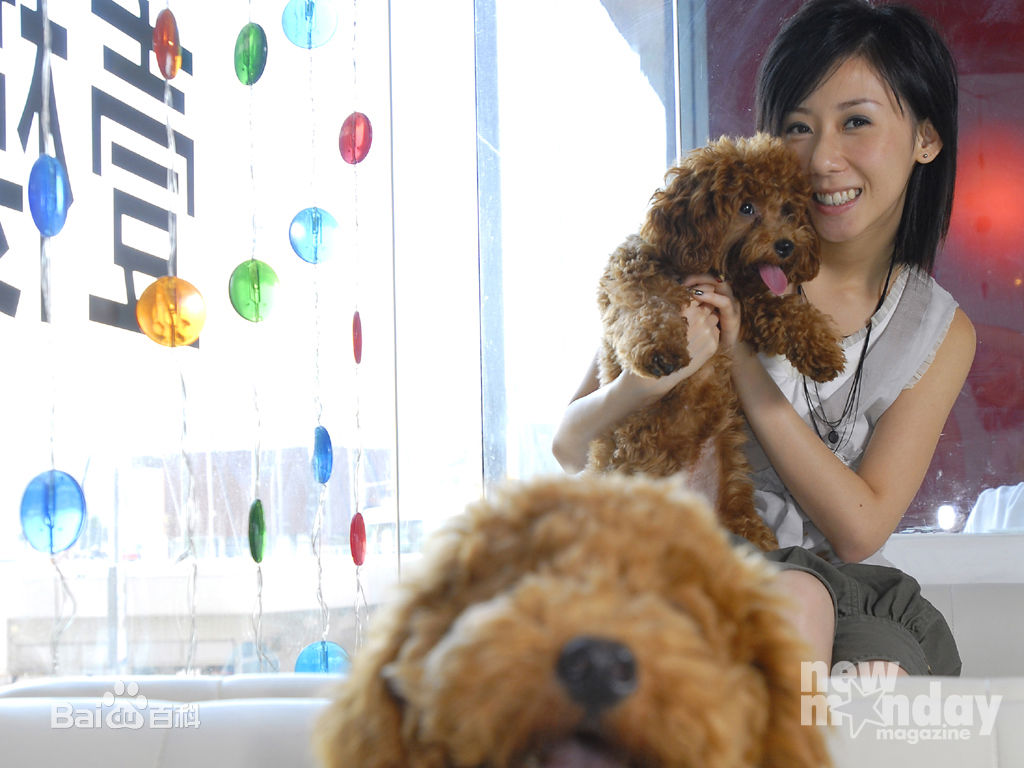 泳儿(Vincy Chan)壁纸前后照片