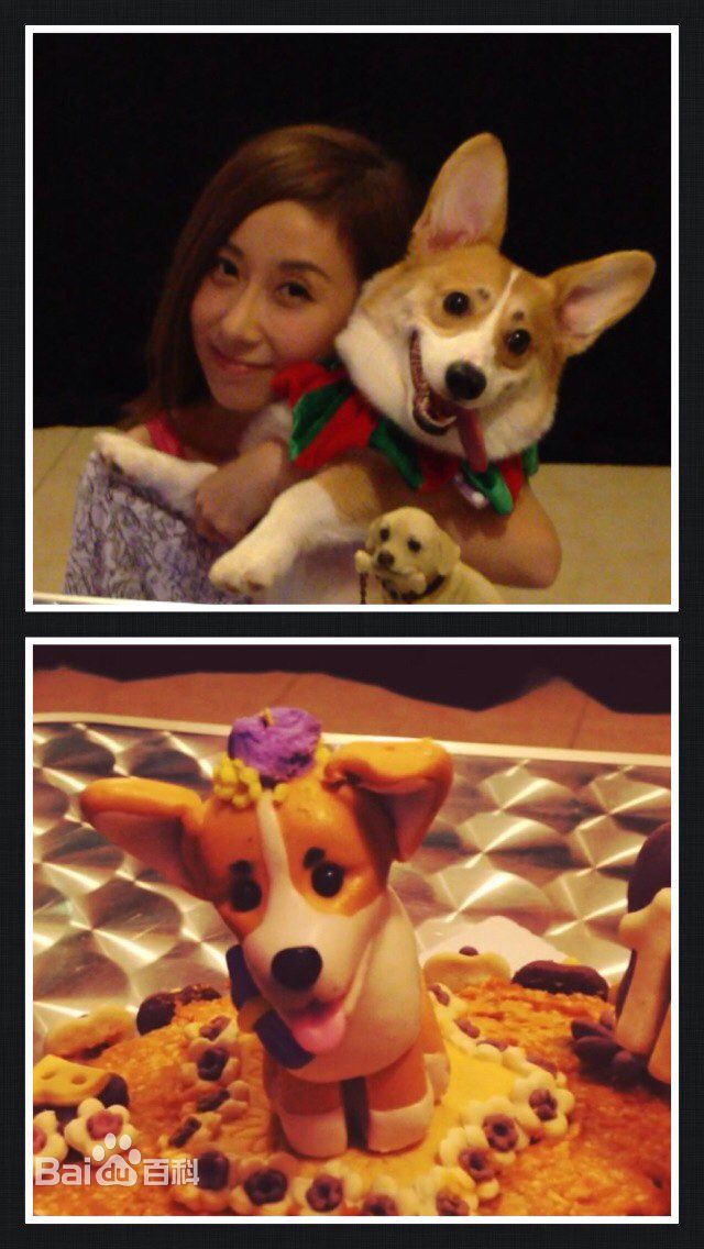 泳儿(Vincy Chan)生日会素颜照相册