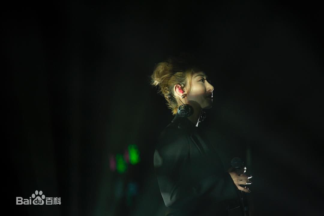 泳儿(Vincy Chan)舞台上的（陈家欣）图册