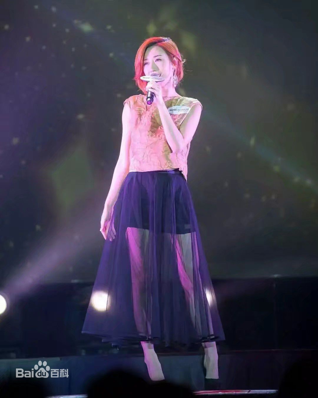 泳儿(Vincy Chan)舞台上的（陈家欣）图册