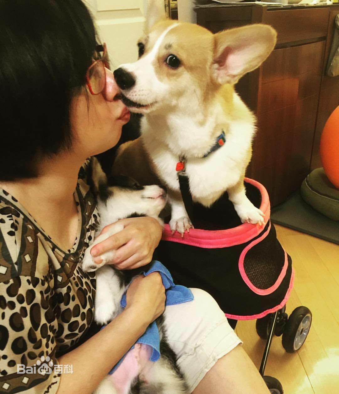 泳儿(Vincy Chan)生活照生活照相册