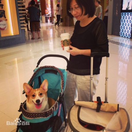 泳儿(Vincy Chan)生活照生活照相册