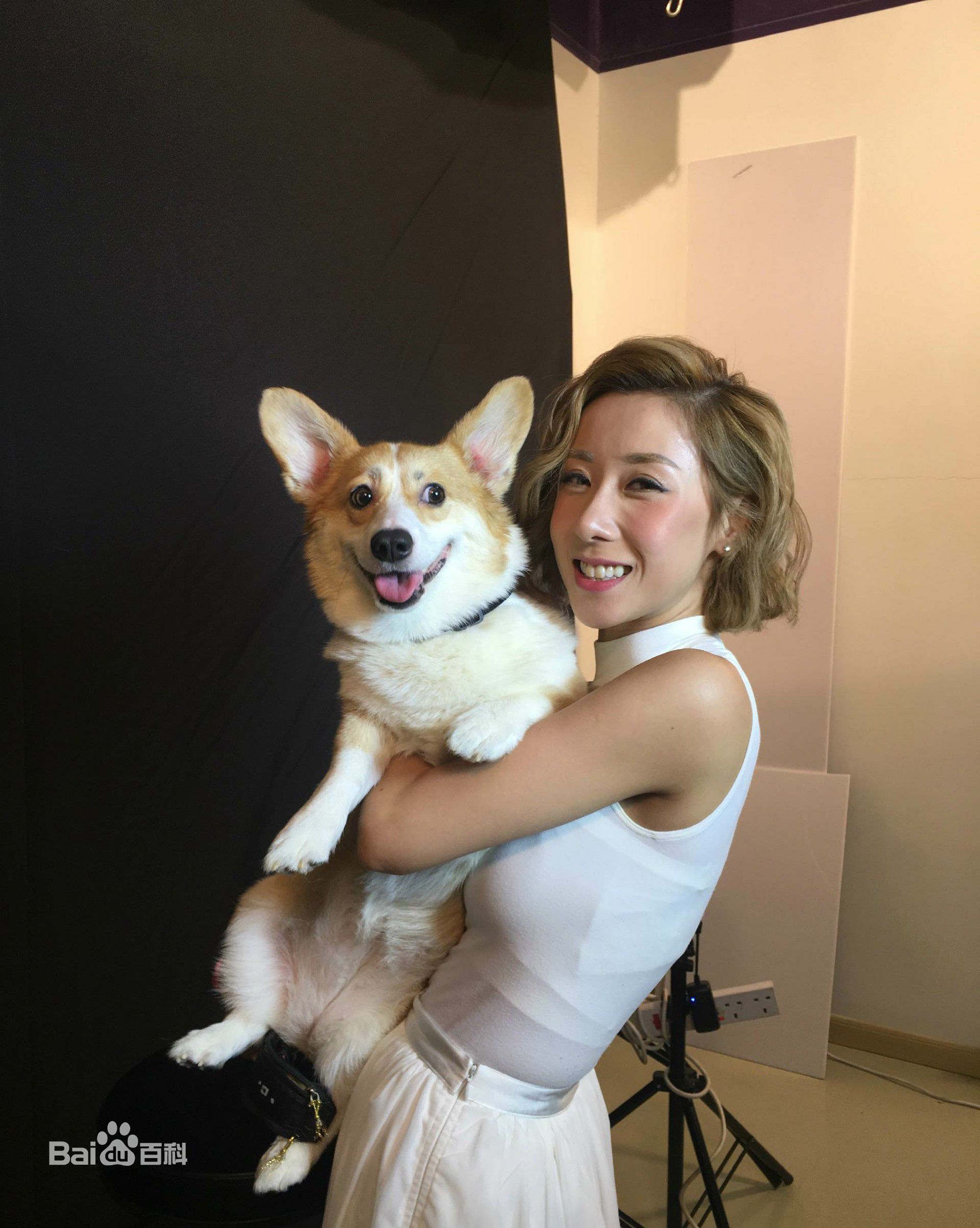 泳儿(Vincy Chan)爱宠壁纸壁纸