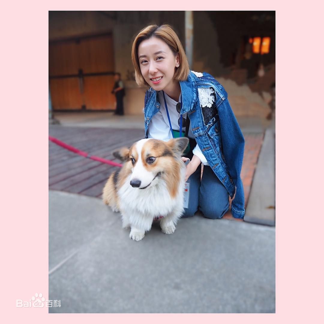 泳儿(Vincy Chan)爱宠壁纸壁纸