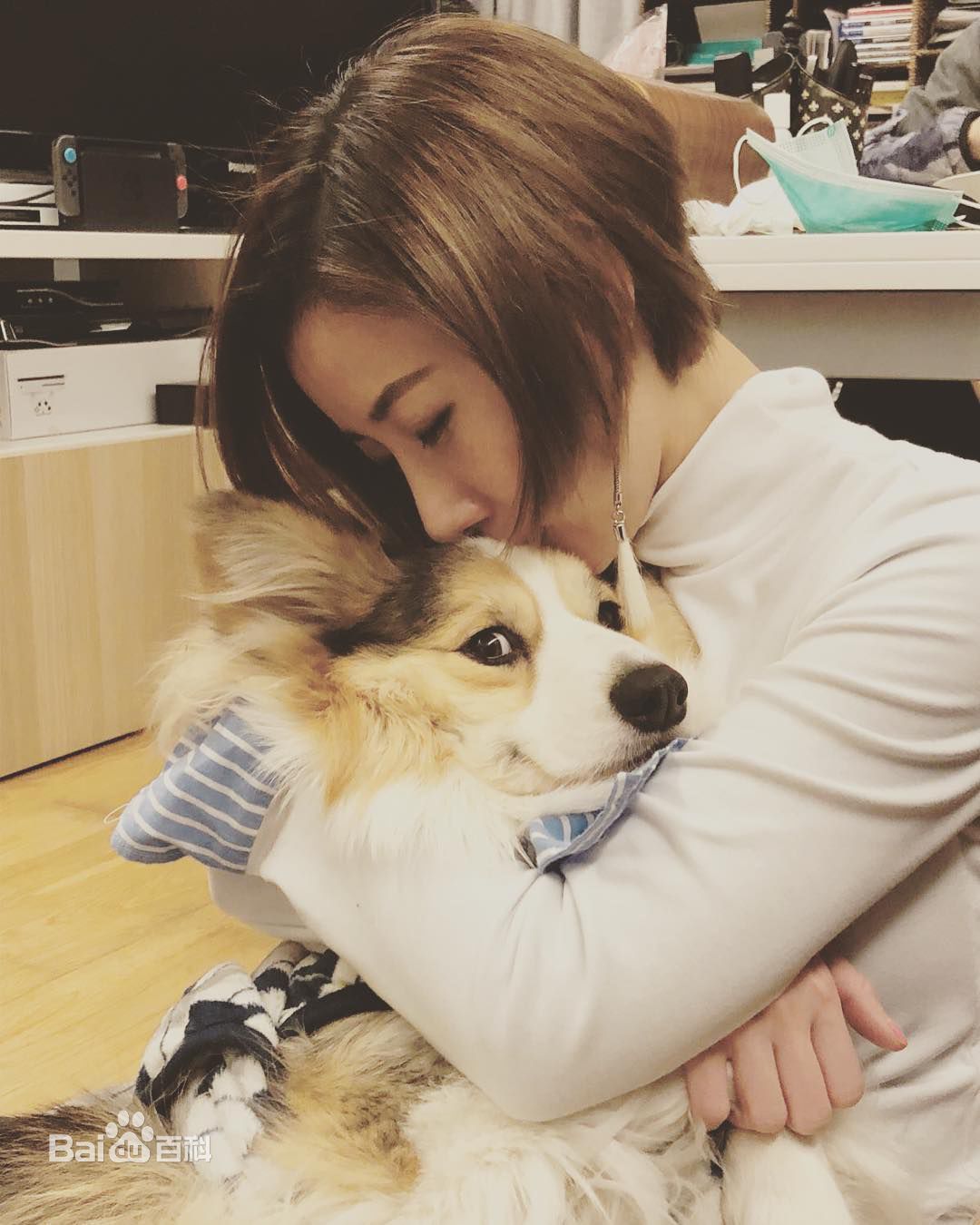 泳儿(Vincy Chan)爱宠壁纸壁纸