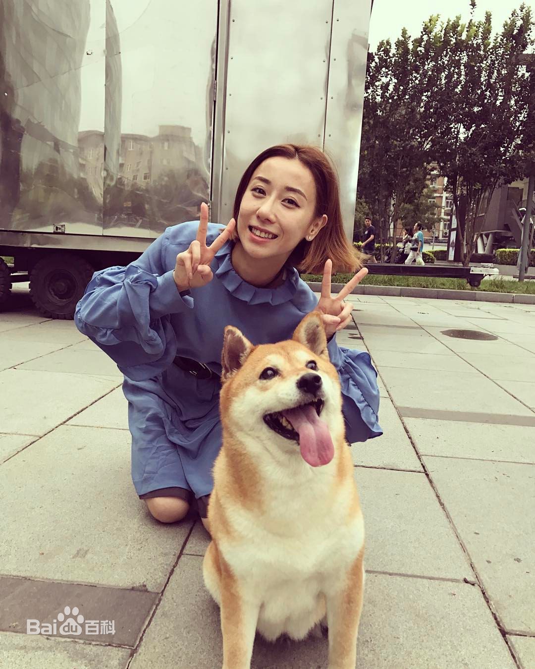 泳儿(Vincy Chan)爱宠壁纸壁纸