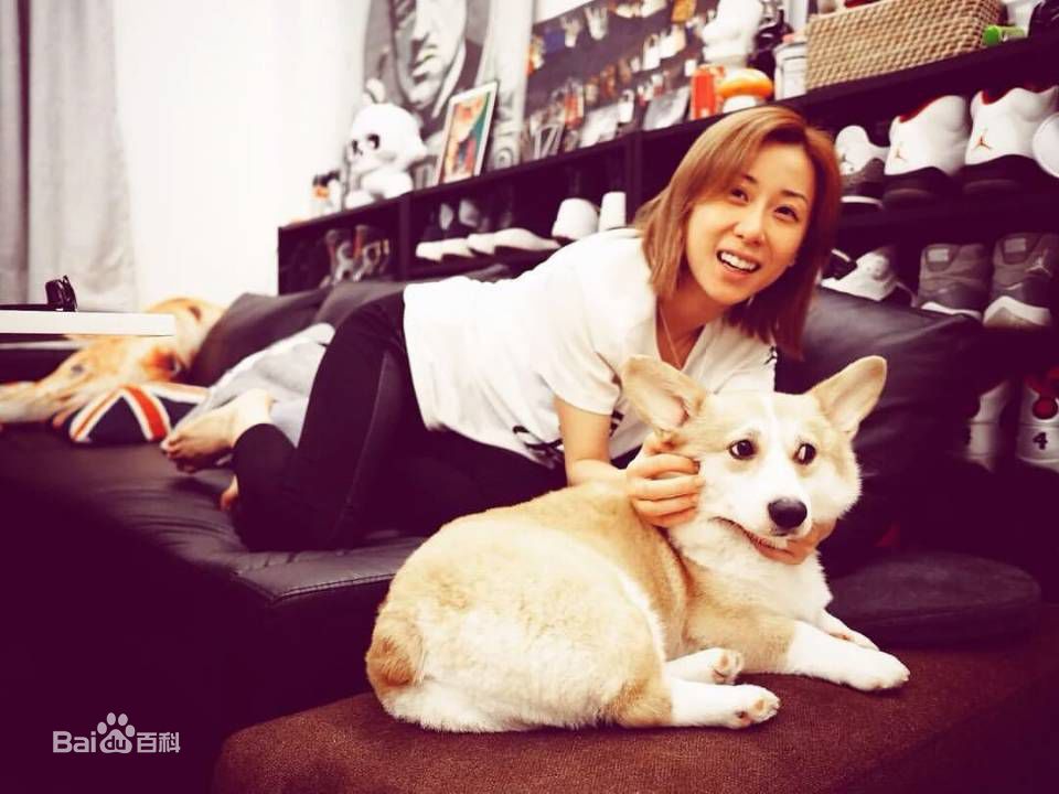 泳儿(Vincy Chan)爱宠壁纸壁纸