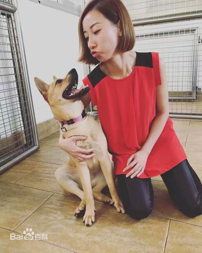 泳儿(Vincy Chan)爱宠壁纸壁纸