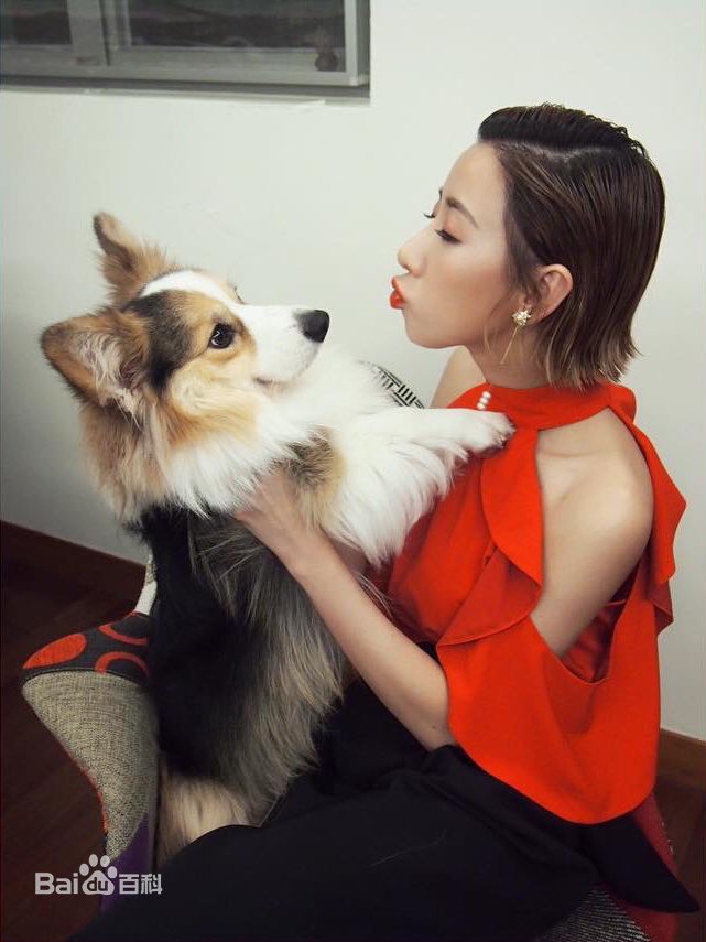 泳儿(Vincy Chan)爱宠壁纸壁纸