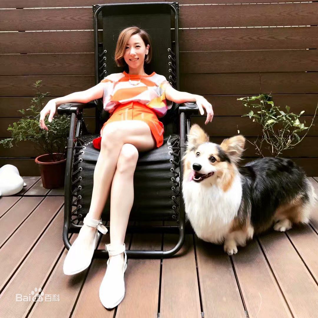 泳儿(Vincy Chan)爱宠壁纸壁纸