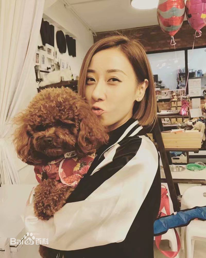 泳儿(Vincy Chan)爱宠壁纸壁纸