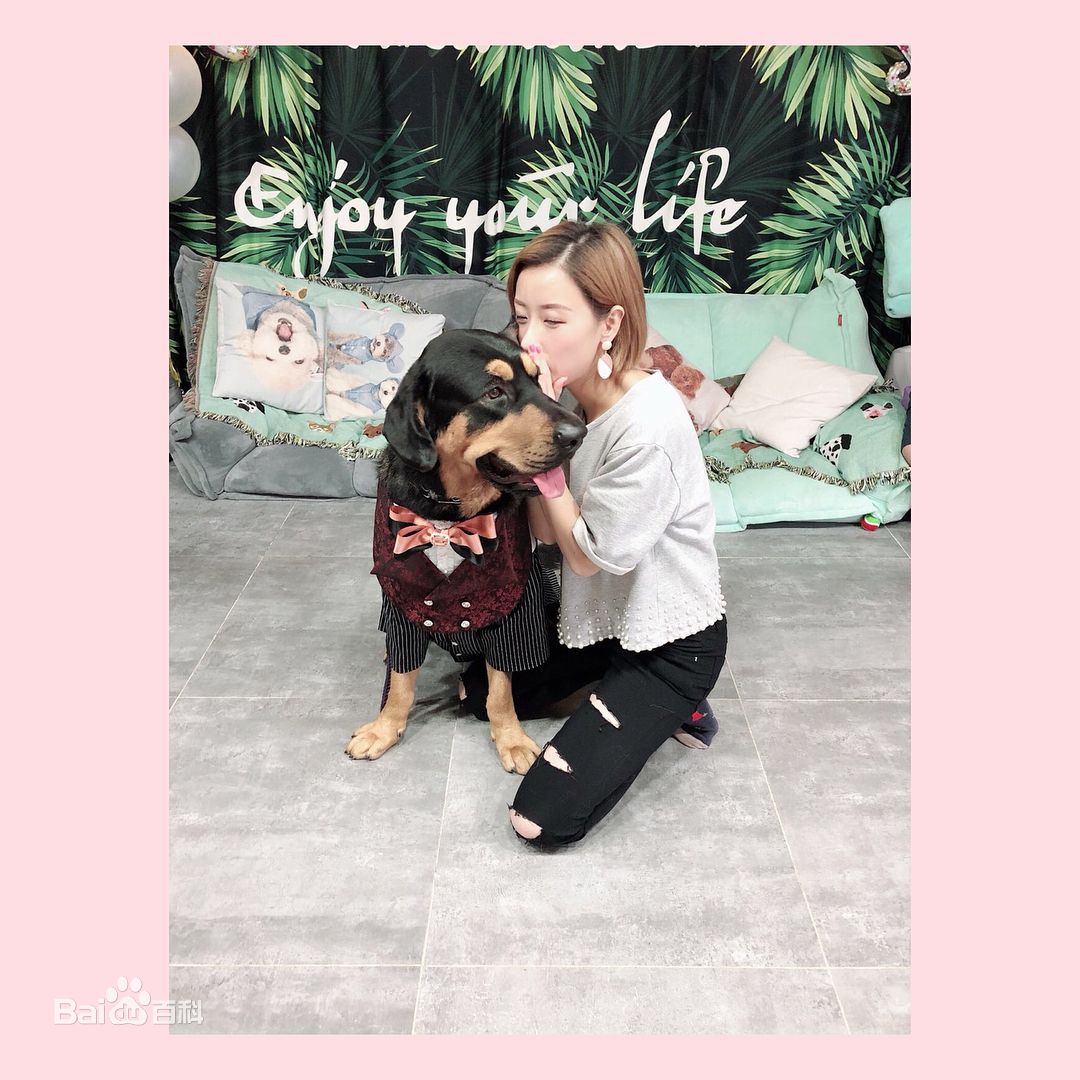 泳儿(Vincy Chan)爱宠壁纸壁纸