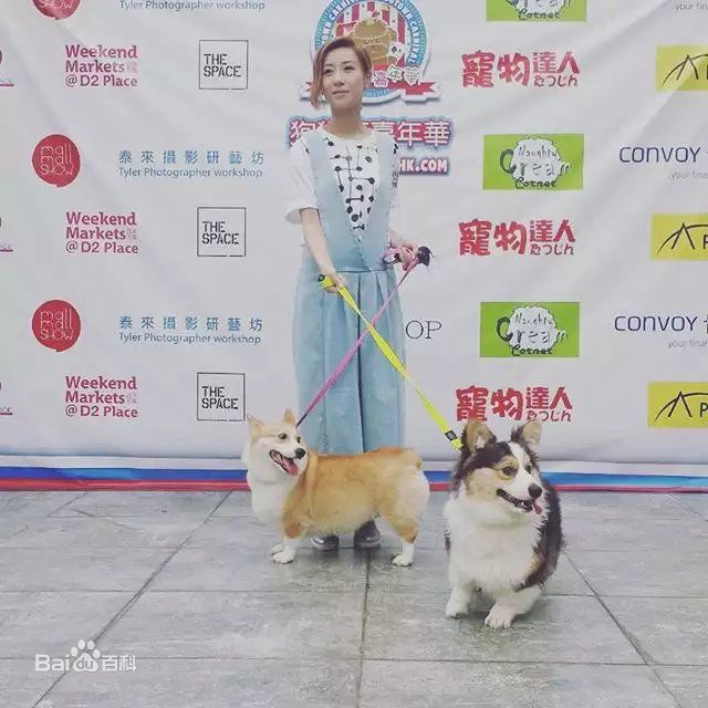 泳儿(Vincy Chan)爱宠壁纸壁纸