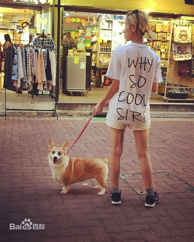 泳儿(Vincy Chan)爱宠壁纸壁纸