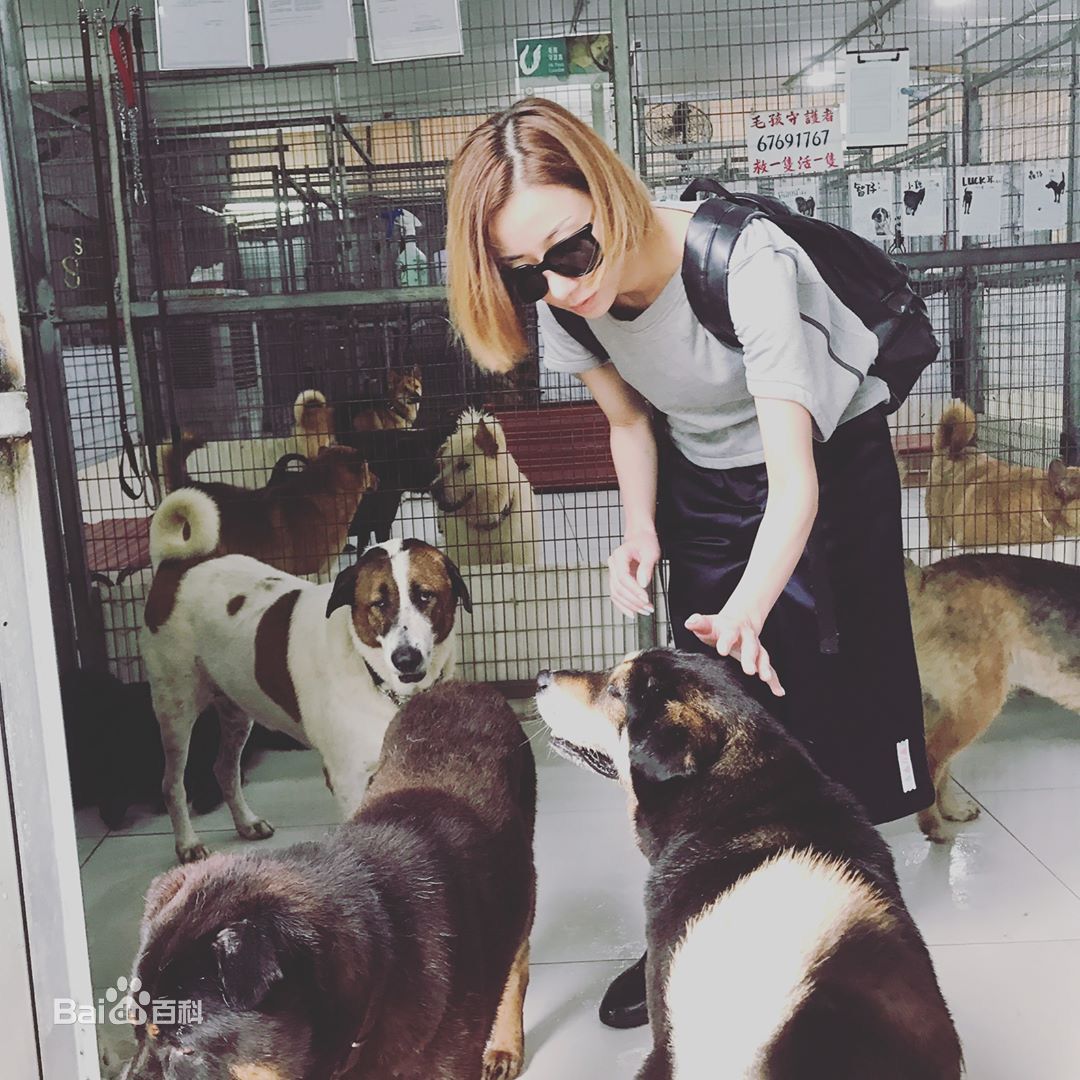 泳儿(Vincy Chan)爱宠壁纸壁纸