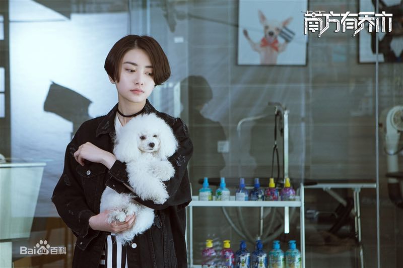 王若珊(Rachel)《南方有乔木》精选剧照