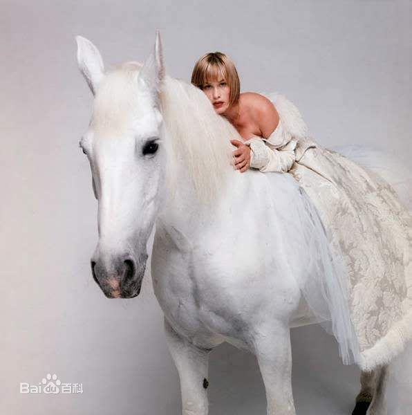 最新帕特丽夏·阿奎特(<i>Patricia Arquette</i>)精彩图册