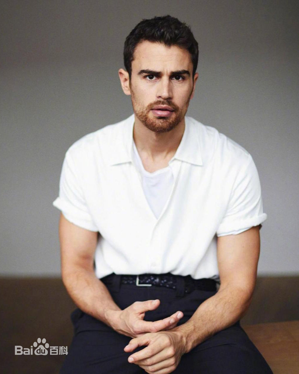 最全提奥·詹姆斯(Theo James)壁纸
