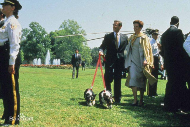 高清凯文·克莱恩(Kevin Kline)精彩图册