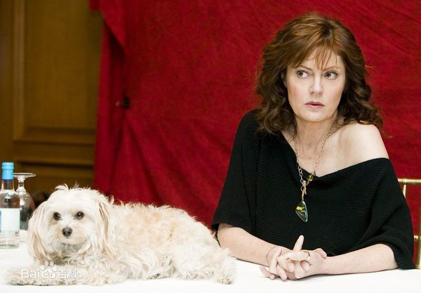 最新苏珊·萨兰登(Susan Sarandon)壁纸