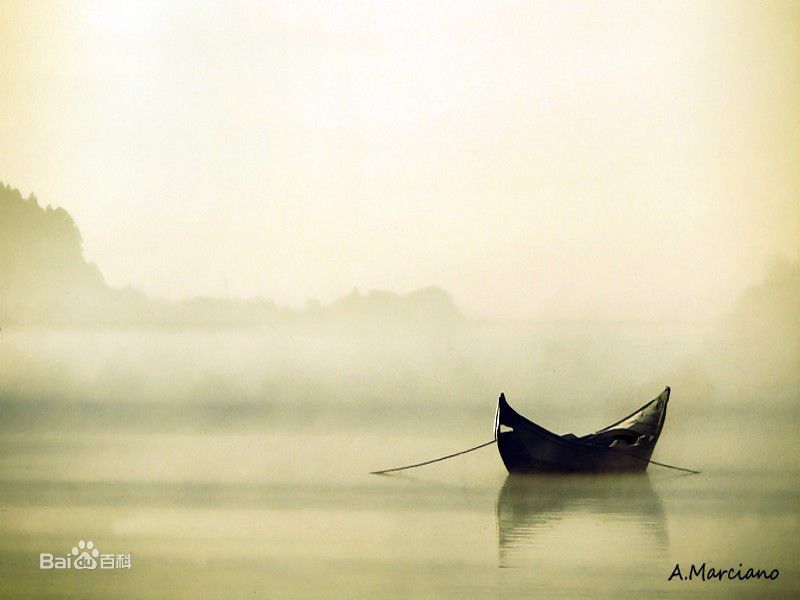 最新苏珊·萨兰登(Susan Sarandon)壁纸