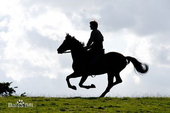 杰瑞米·艾文(Jeremy Irvine)最全剧照