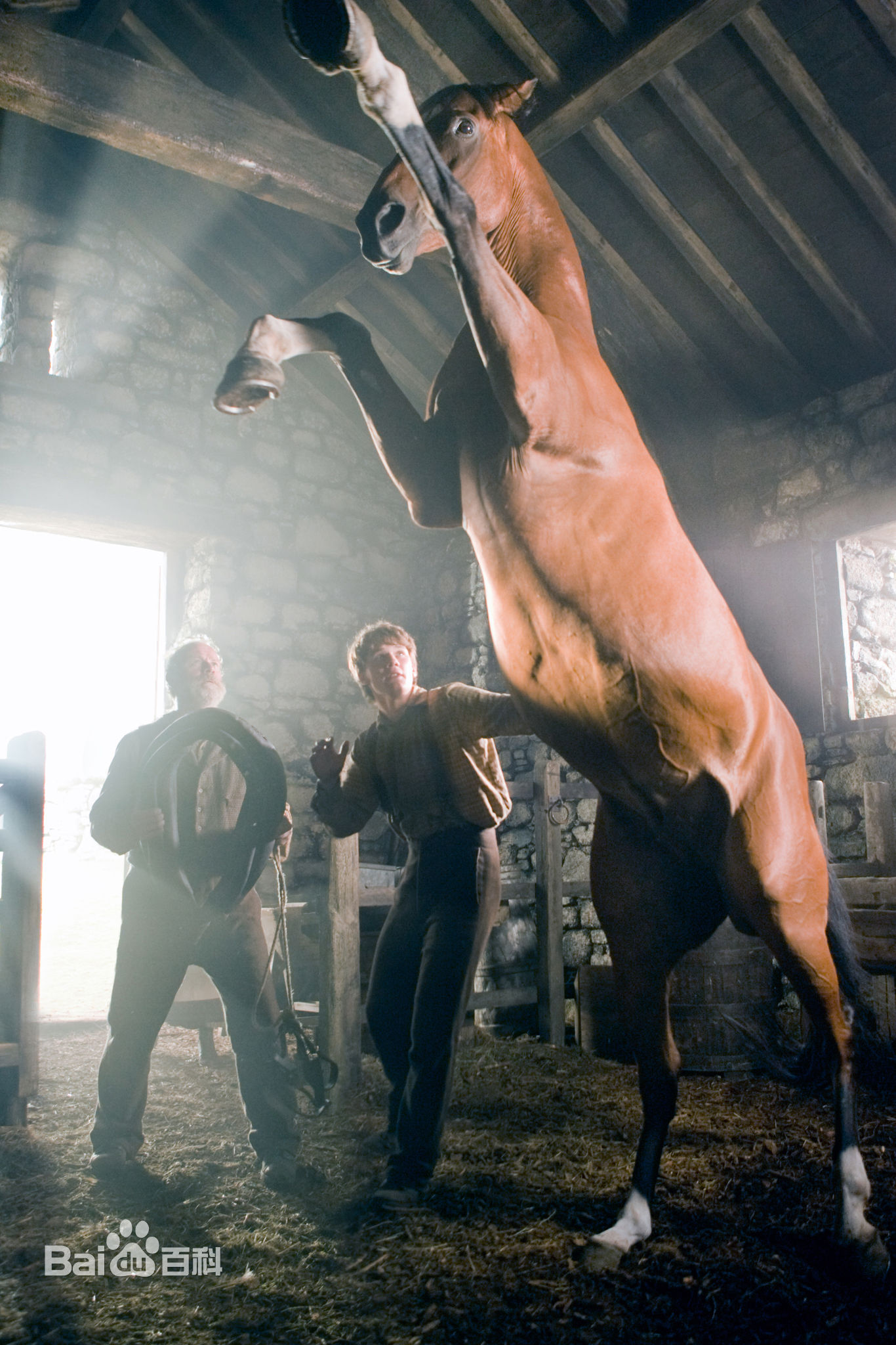 最优质杰瑞米·艾文(Jeremy Irvine)精彩图册