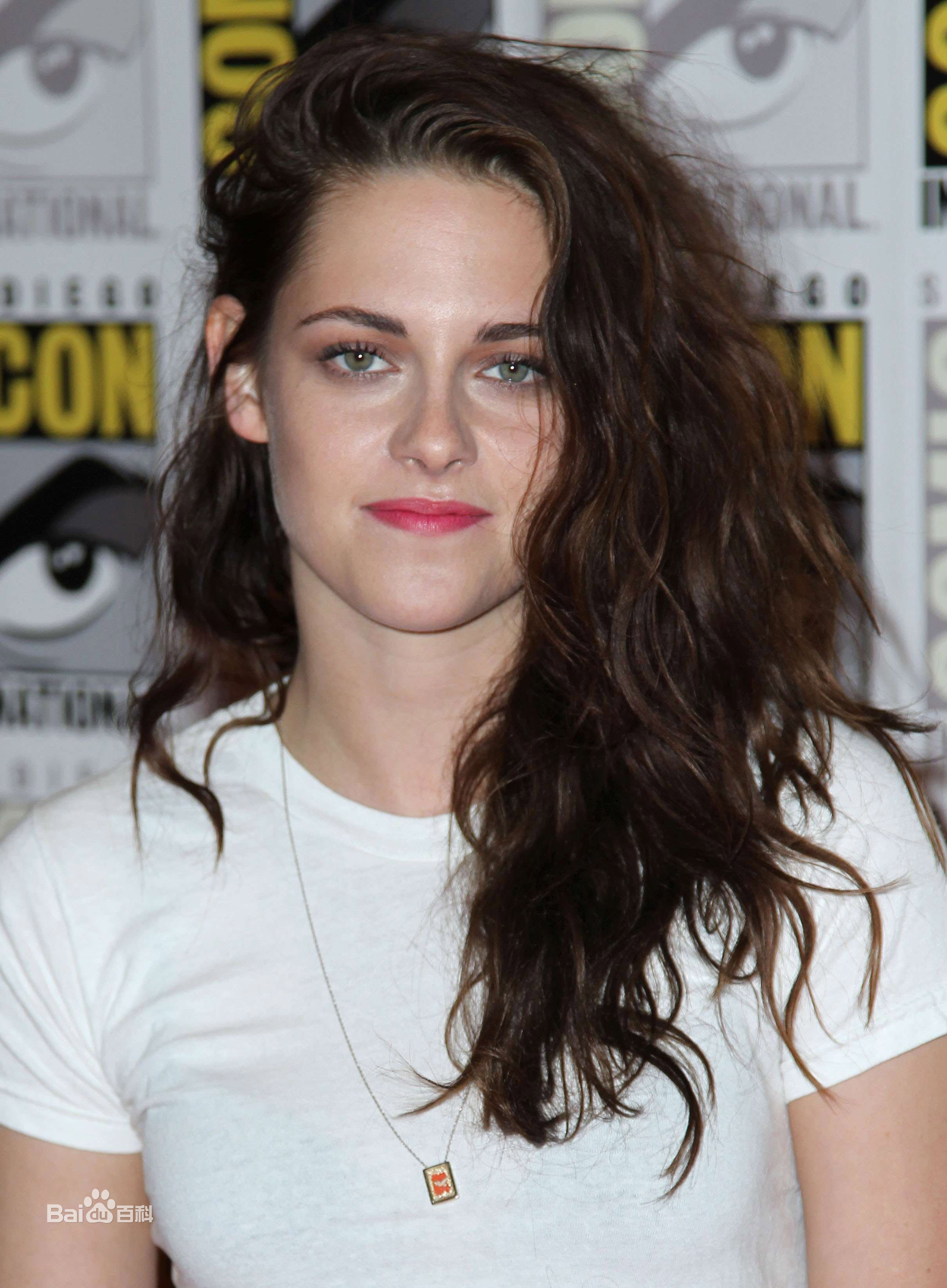 高清克里斯汀·斯图尔特(Kristen Stewart)精彩图册2