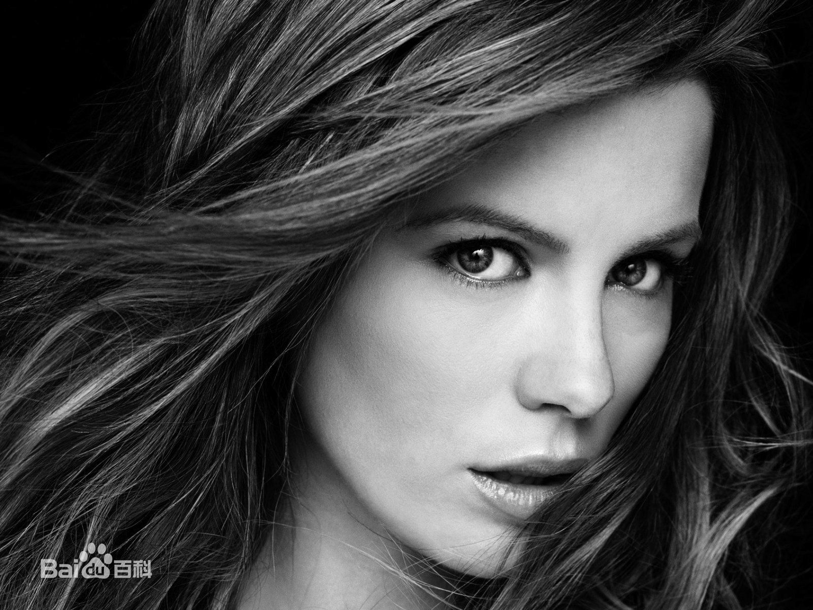 最新凯特·贝金赛尔(Kate Beckinsale)精彩图册