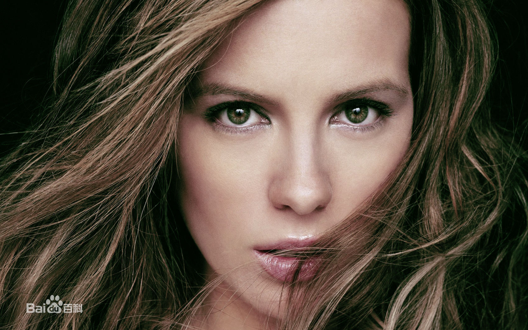 精选凯特·贝金赛尔(Kate Beckinsale)精彩图册