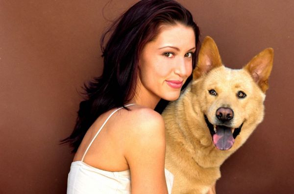 最全沙隆·伊丽莎白(Shannon Elizabeth)壁纸