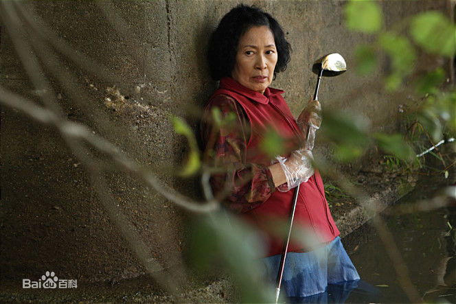 奉俊昊(/ Bong Joon ho)在《母亲》中的