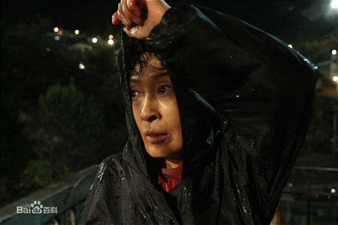 奉俊昊(/ Bong Joon ho)在《母亲》中的