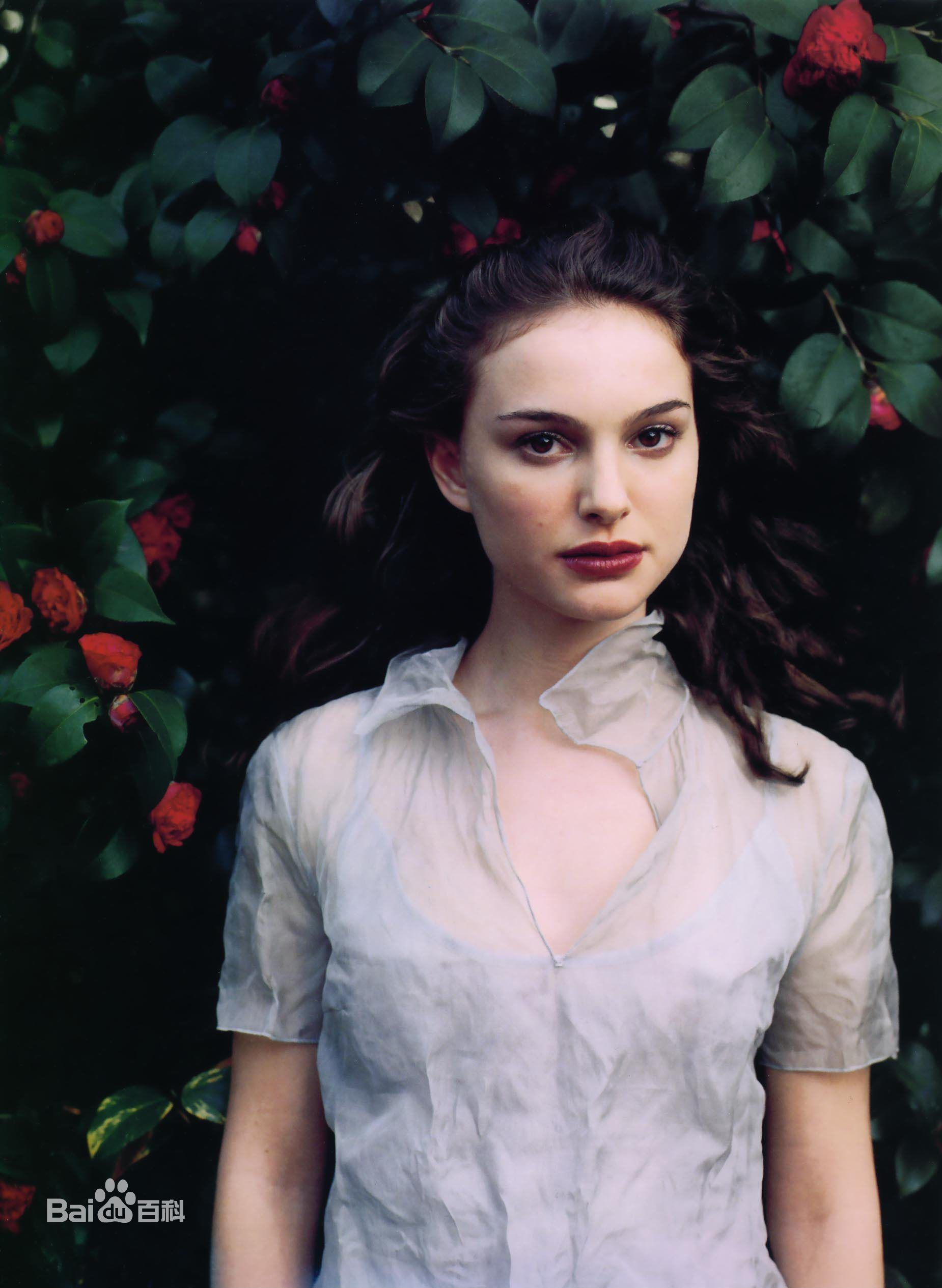 娜塔莉·波特曼(Natalie Portman、Natalie Hershlag)娜塔丽·波特曼前后照片