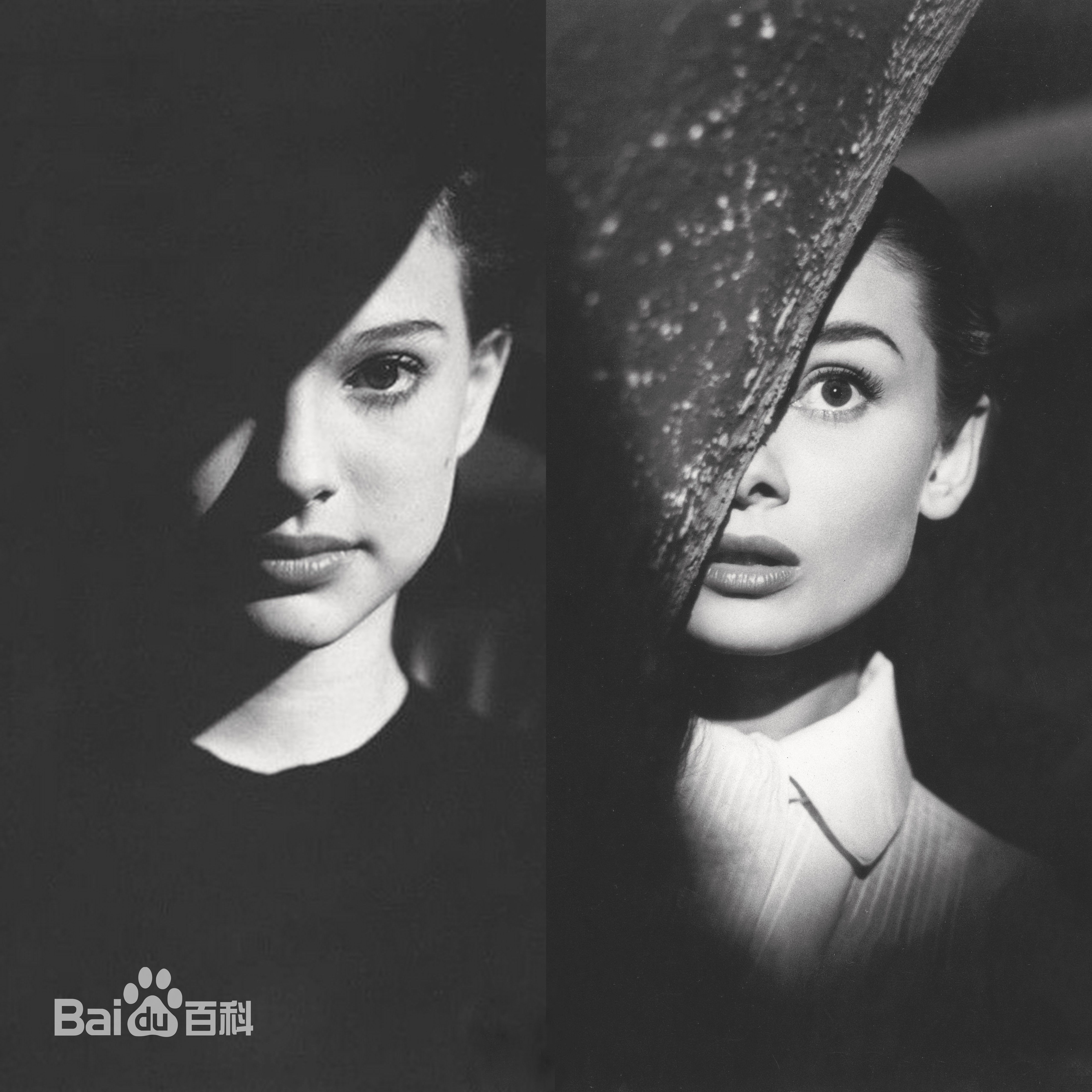 最新娜塔莉·波特曼(Natalie Portman、Natalie Hershlag)娜塔丽·波特曼精彩图册