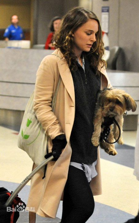 最全娜塔莉·波特曼(Natalie Portman、Natalie Hershlag)娜塔丽·波特曼精彩图册