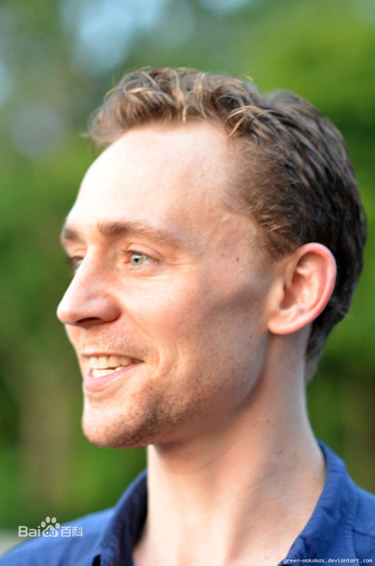 精选汤姆·希德勒斯顿(Tom Hiddleston)精彩图册