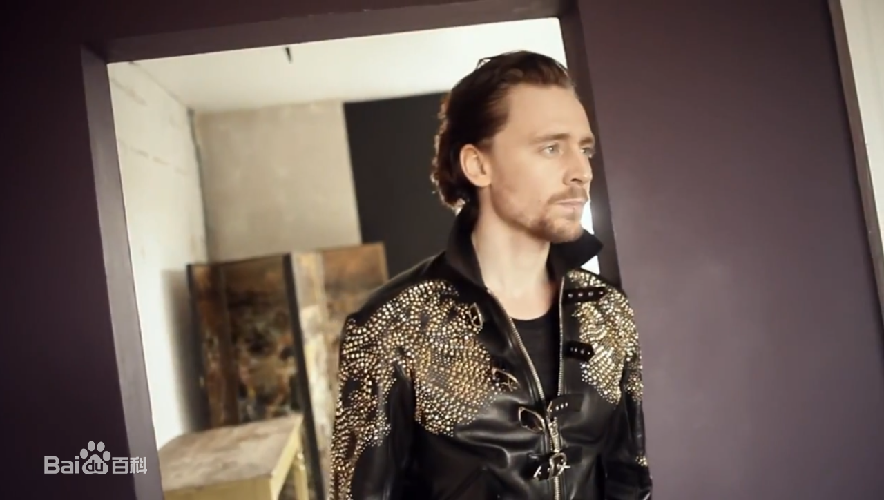 最优质汤姆·希德勒斯顿(Tom Hiddleston)精彩图册