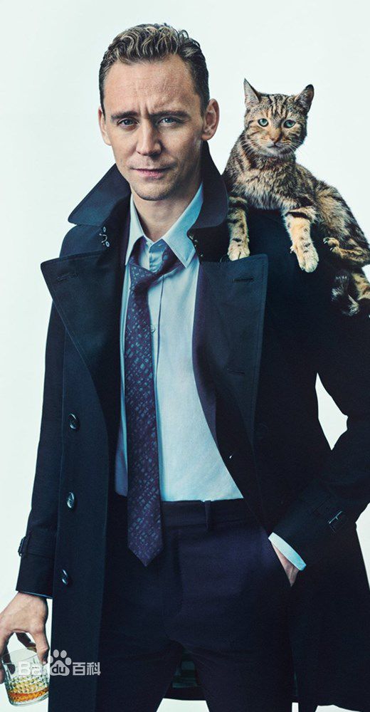 最新汤姆·希德勒斯顿(Tom Hiddleston)壁纸