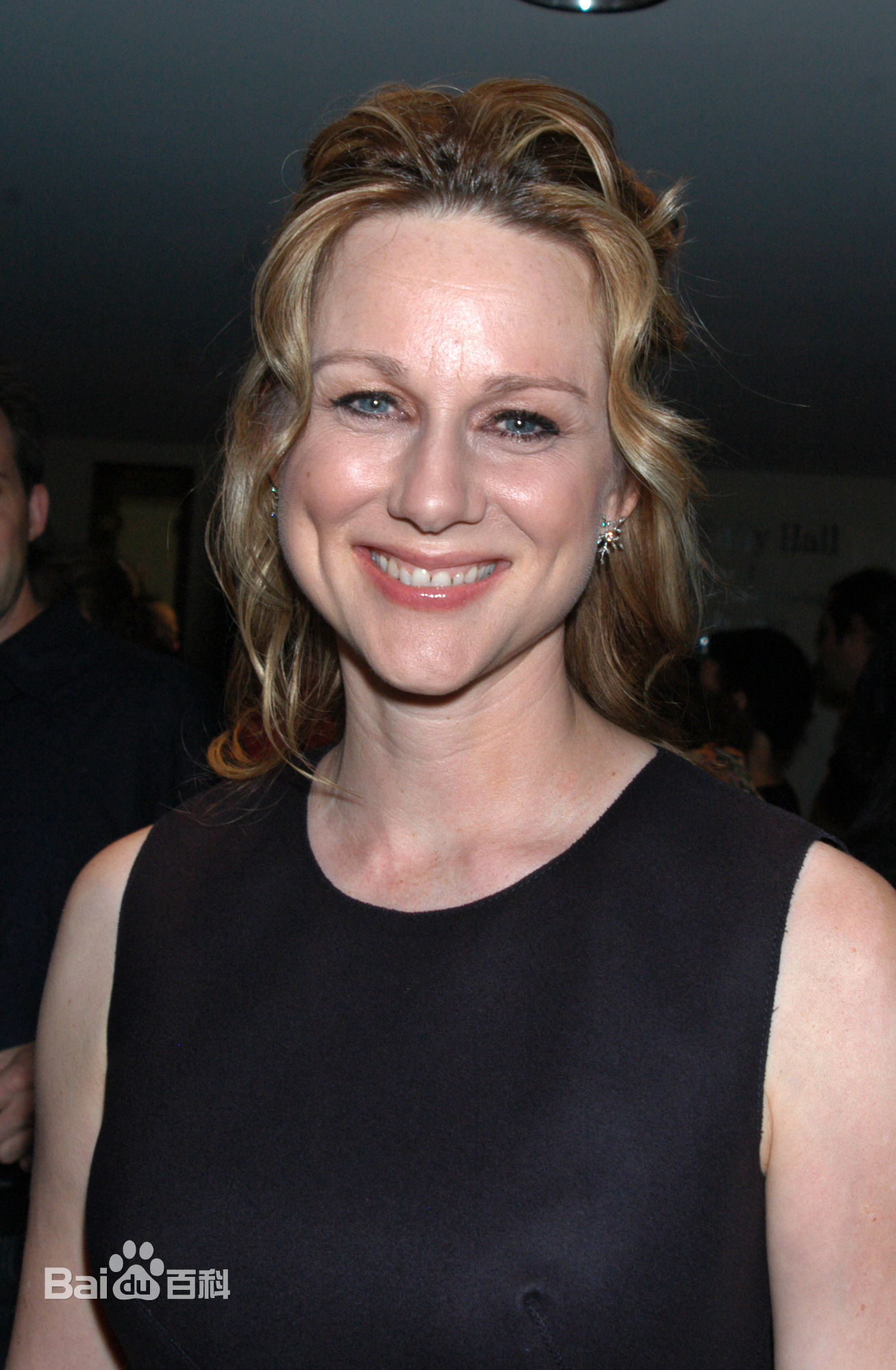 精选劳拉·琳妮(Laura Linney)精彩图册