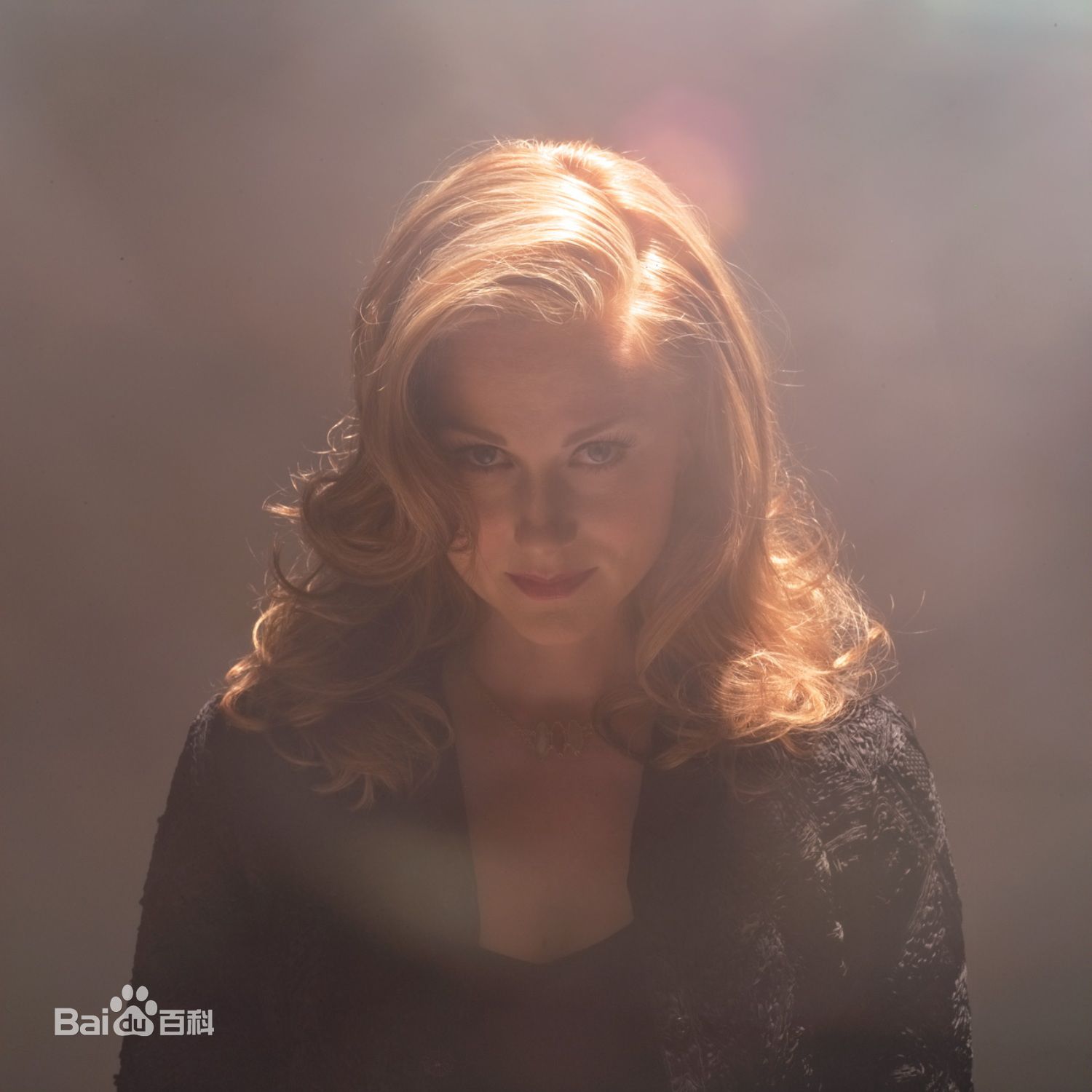 最新劳拉·琳妮(Laura Linney)精彩图册