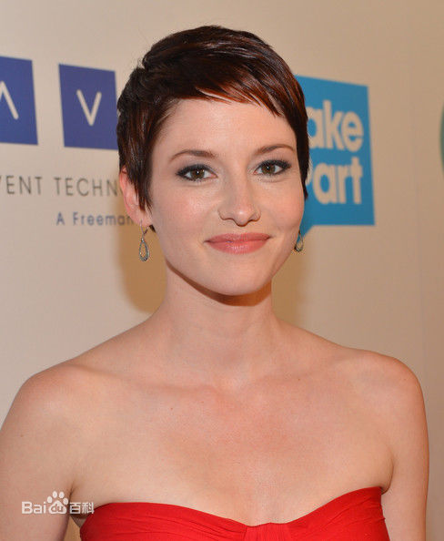最全凯乐·利(Chyler Leigh)壁纸