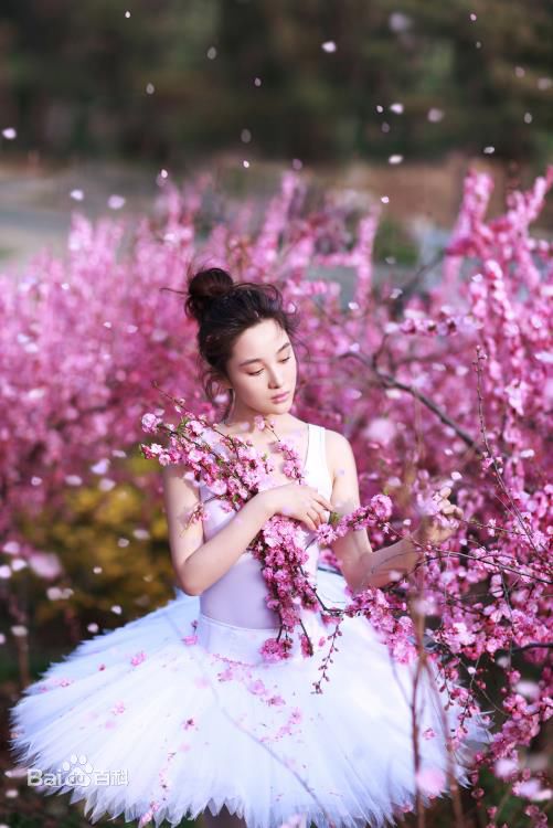 孙嘉璐(Deer)精灵美图壁纸壁纸