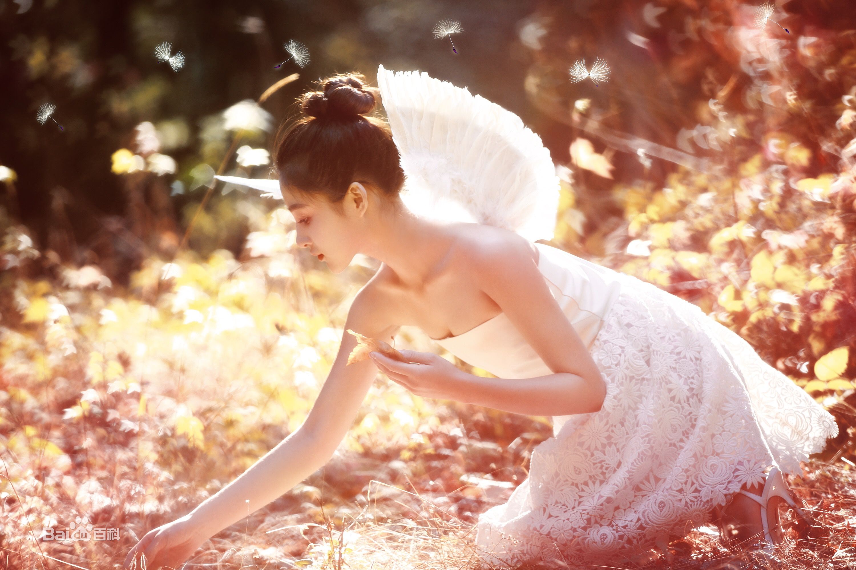 孙嘉璐(Deer)精灵美图壁纸壁纸