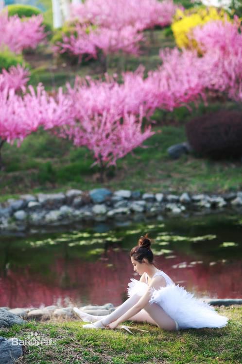 孙嘉璐(Deer)精灵美图壁纸壁纸