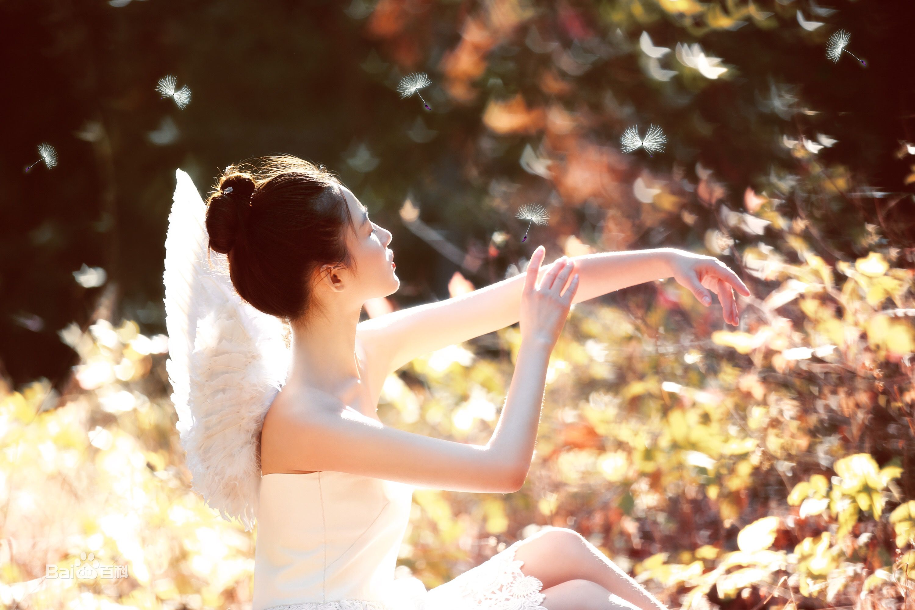 孙嘉璐(Deer)精灵美图壁纸壁纸