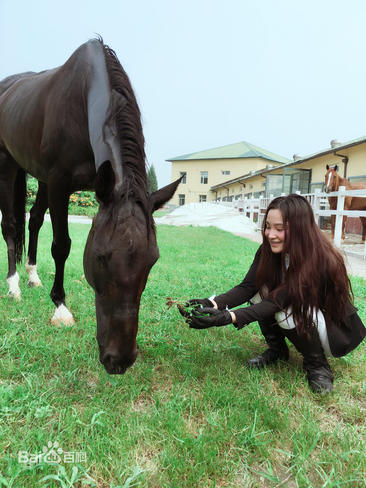 孙嘉璐(Deer)运动美图壁纸壁纸