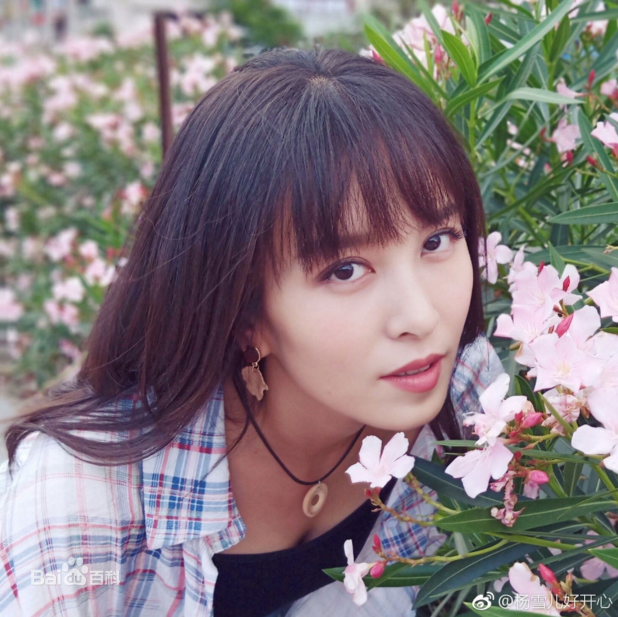 杨雪儿个人生活性感图片图集